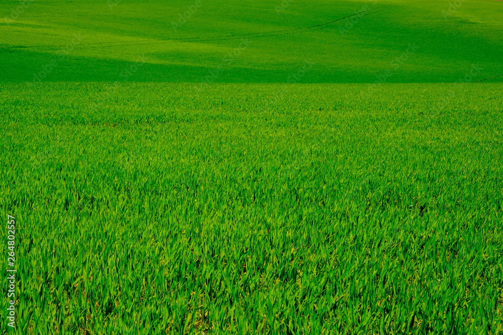 Waterloo Battlefields Waterloo Battlefields