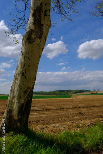 Waterloo Battlefields