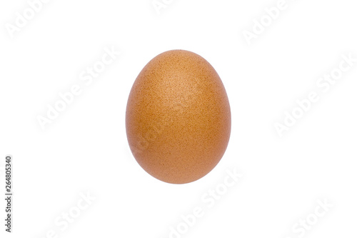 chicken brown egg isolate