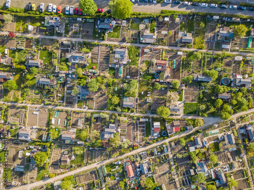 Fotografie Aerial view of allotment garden