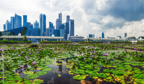 Canvas Print Singapore Skyline near Marina Bay and pond with lilies in the foreground, central business district at daytime in the background