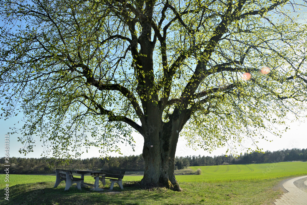 Obraz premium Rastplatz