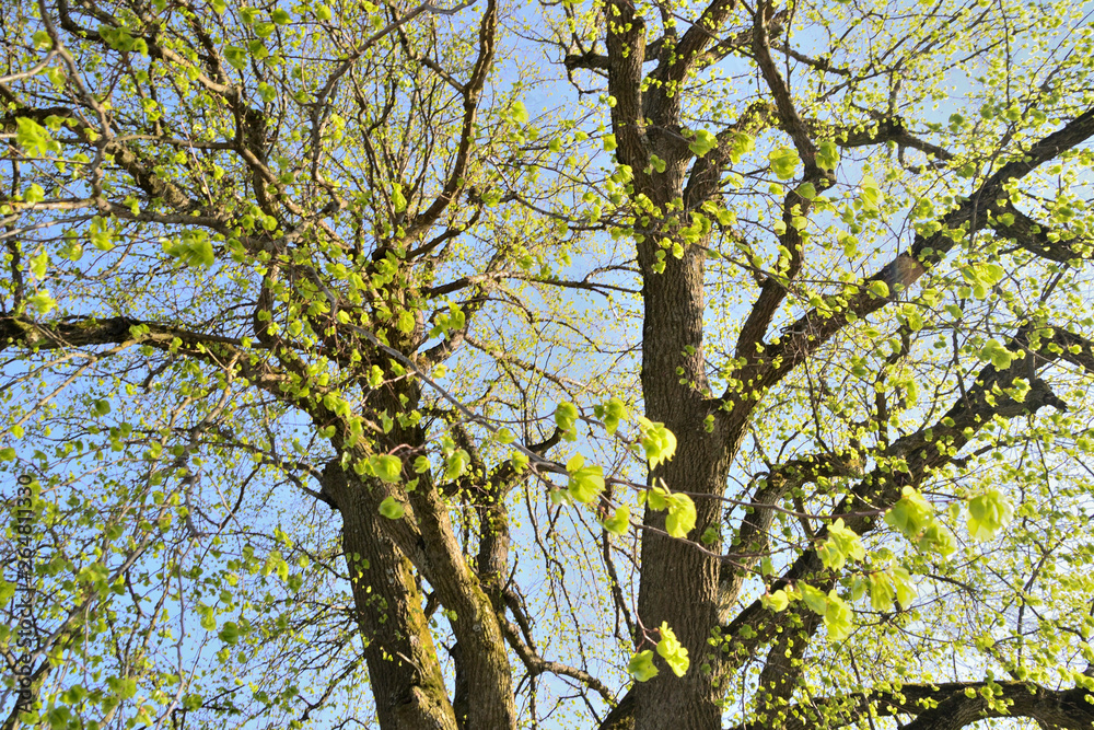 Fototapeta premium Rastplatz