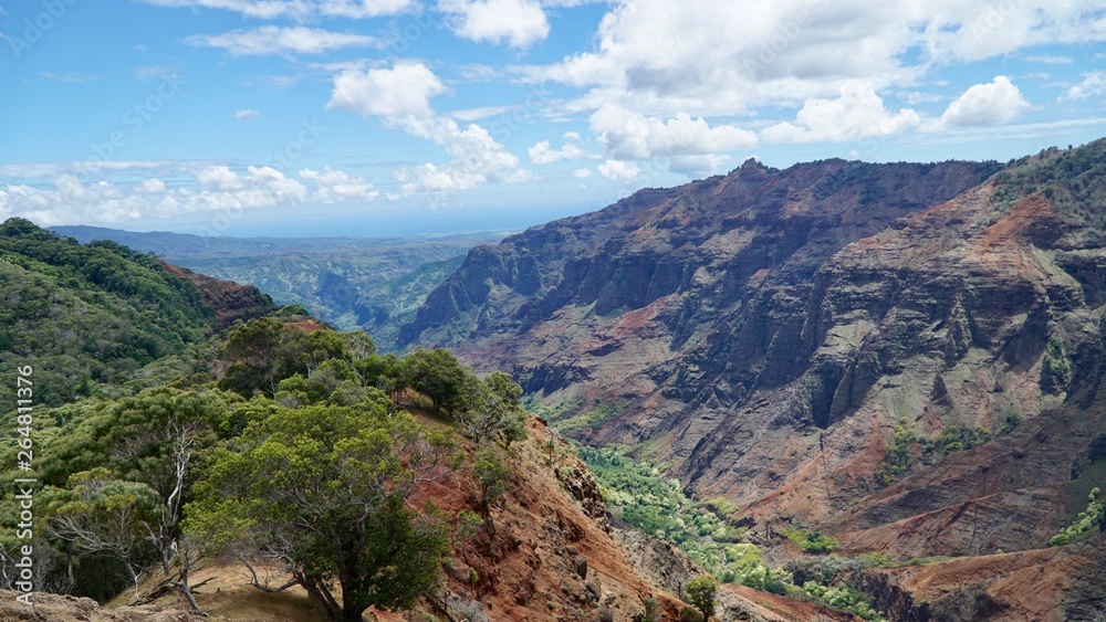 Naklejka premium Waimea Canyon in Kauai