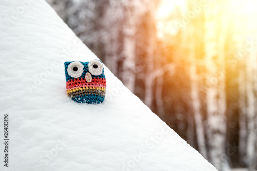 related colorful owl in the snow in the forest, sunlight in the corner of the frame photo