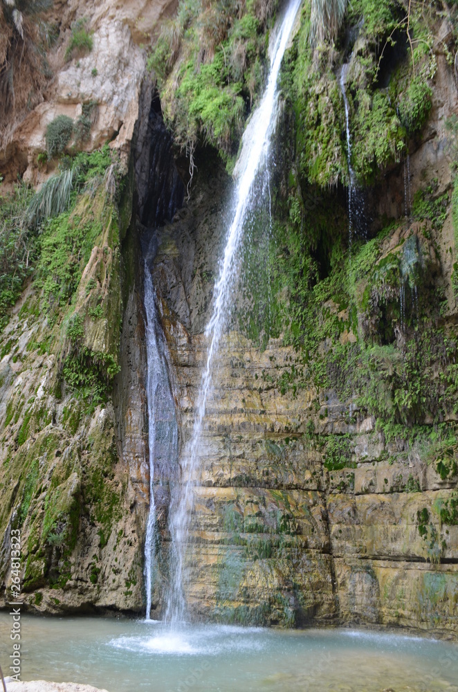 Ein Gedi Wasserfall Israel