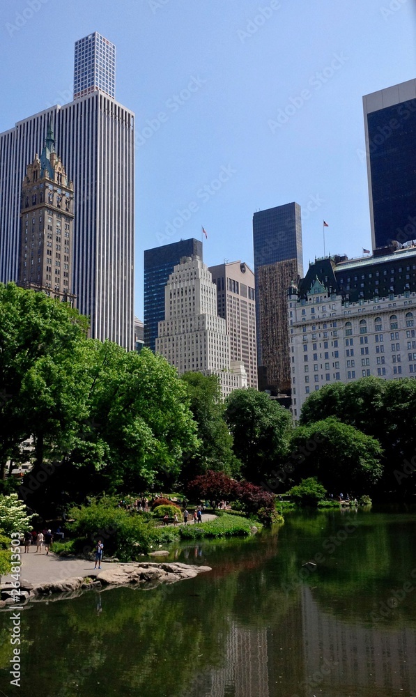 Central Park - an urban park in Manhattan, New York City Central Park - an urban park in Manhattan, New York City