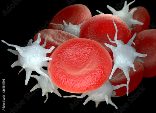 Red blood cells and activated platelets or thrombocytes photo
