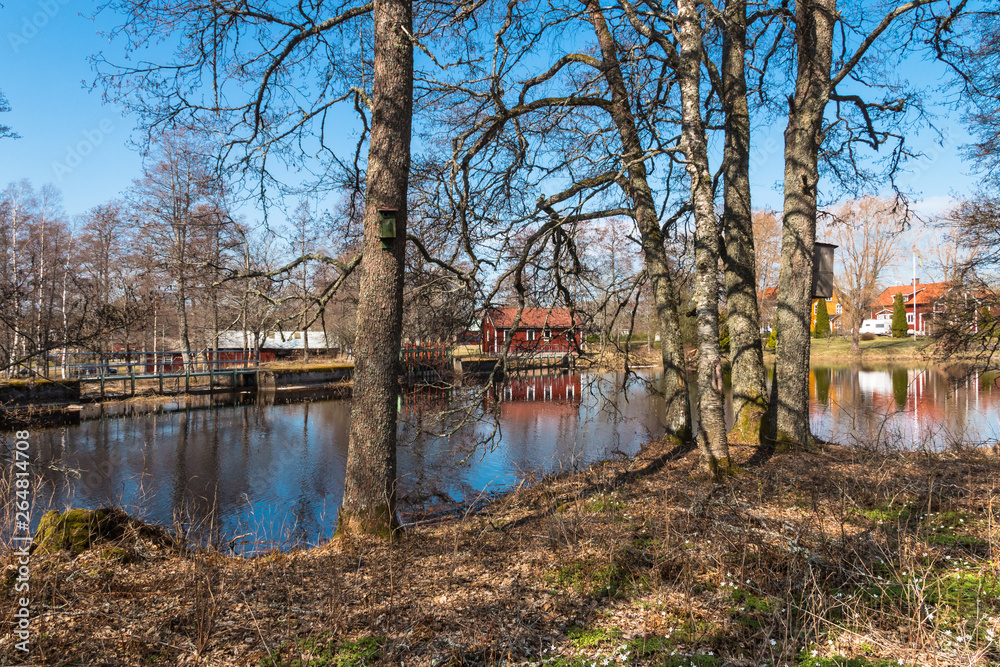 Fototapeta premium typical swedish landscape with red houses