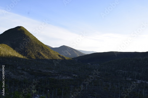 zapotitlán de salinas