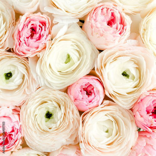 Bouquet  texture of pink ranunculus and rose flower buds close up. Flat lay  top view. Ranunculus flower texture. 