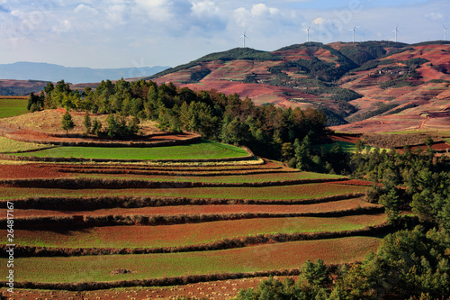 Dongchuan Colored Red Earth Terraces - Red Soil, Green Grass, Layered Terraces in Yunnan Province, China. Chinese Countryside, Agriculture, Exotic Unique Landscape. Farmland, Agriculture photo