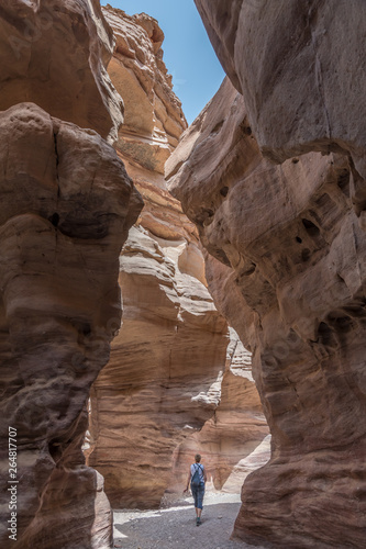 woman in the red canyon
