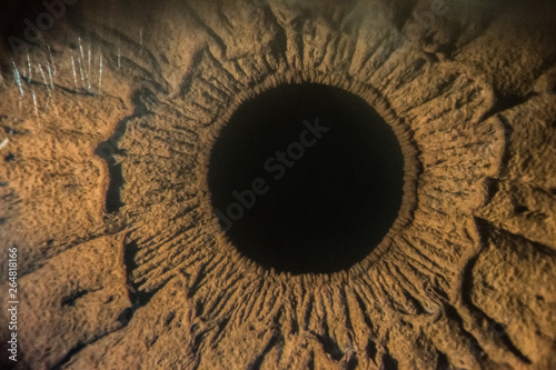 close-up images of human eye, iris and cornea from slit lamp biomicroscope for eye diagnosis.