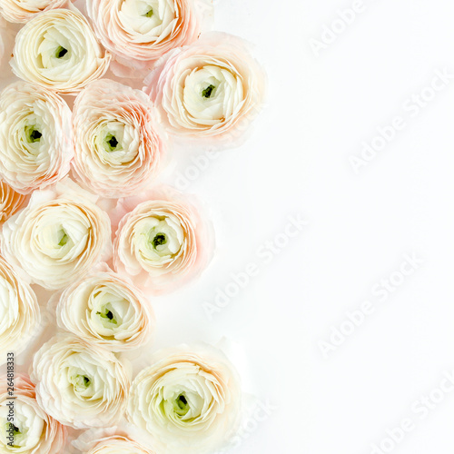 Floral background texture made of pink ranunculus flower buds on white background. Flat lay, top view floral background.