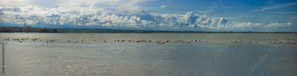 Lake Lesina and its flamingos