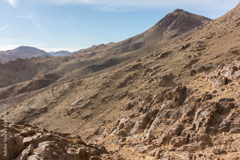 the nature of Sinai desert