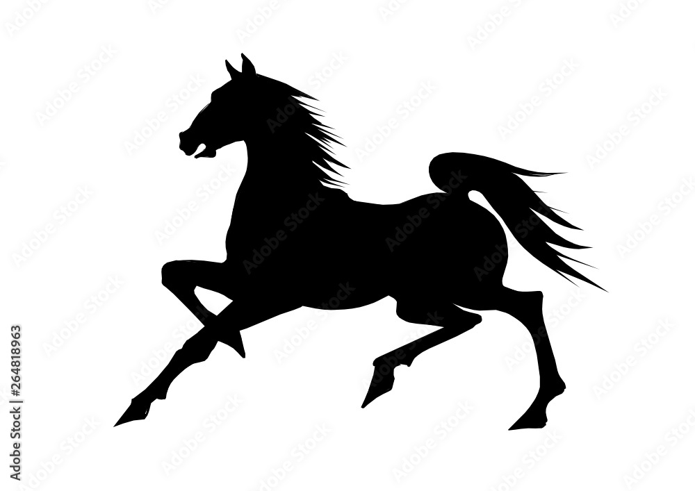 Pferd Pferd