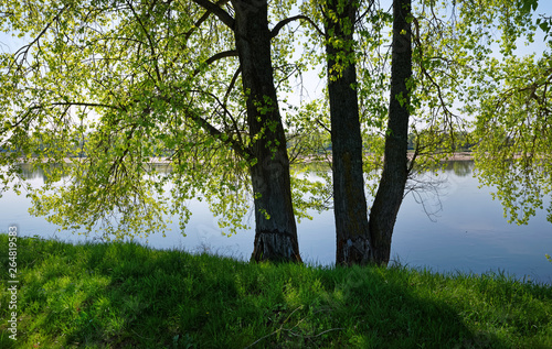 Fototapeta Naklejka Na Ścianę i Meble -  Loire river bank in Centre-Val de Loire region