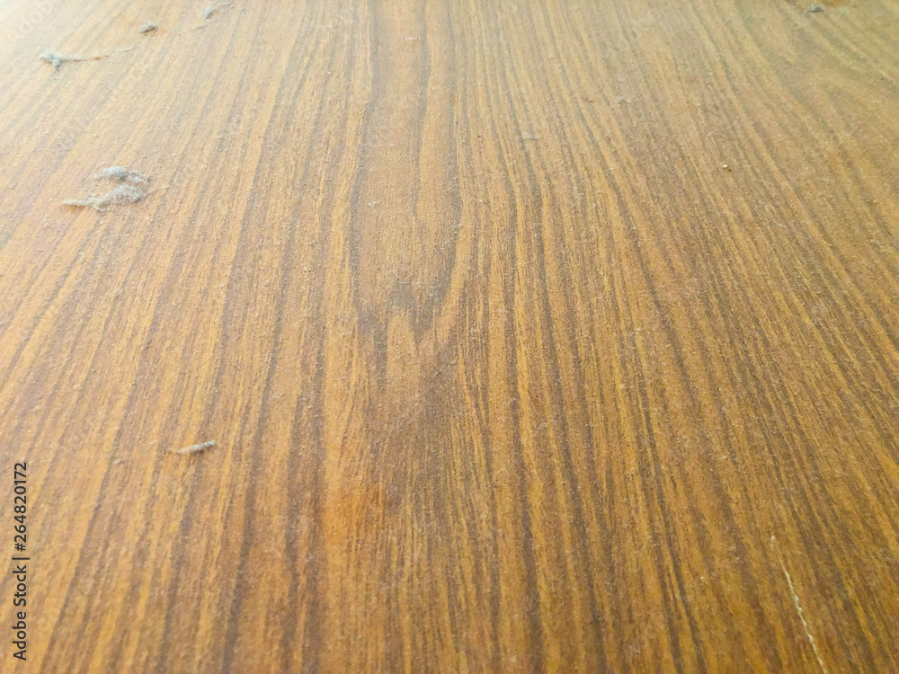 Dust house on old wooden floor