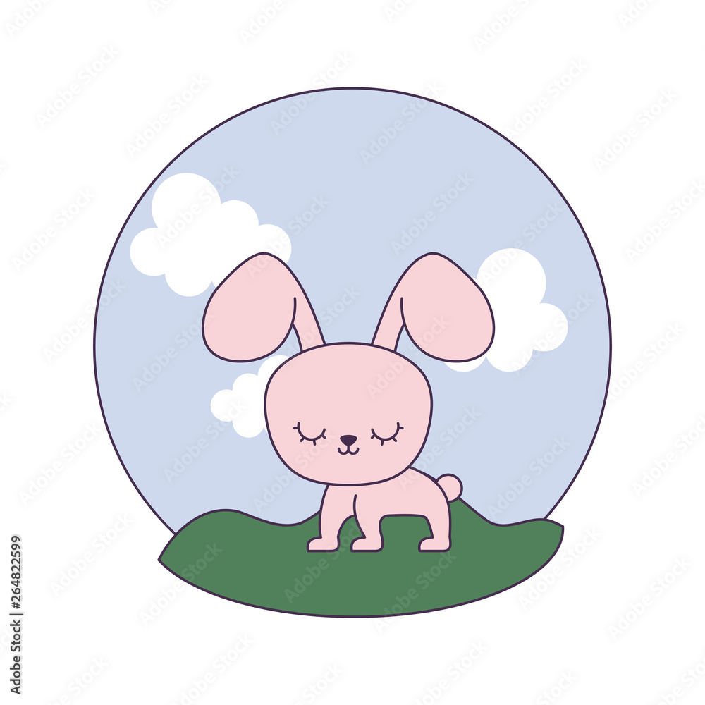 Fototapeta premium cute rabbit animal in landscape