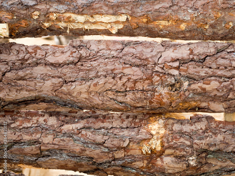 rough processed tree trunks as texture, background and pattern rough processed tree trunks as texture, background and pattern