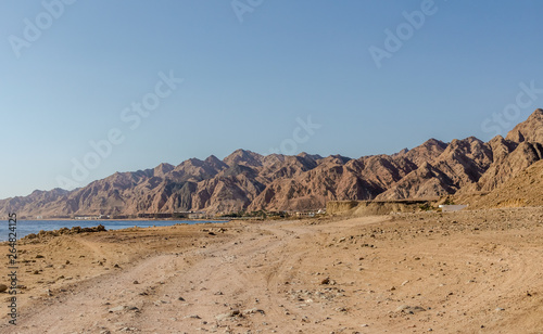 the nature of Sinai desert