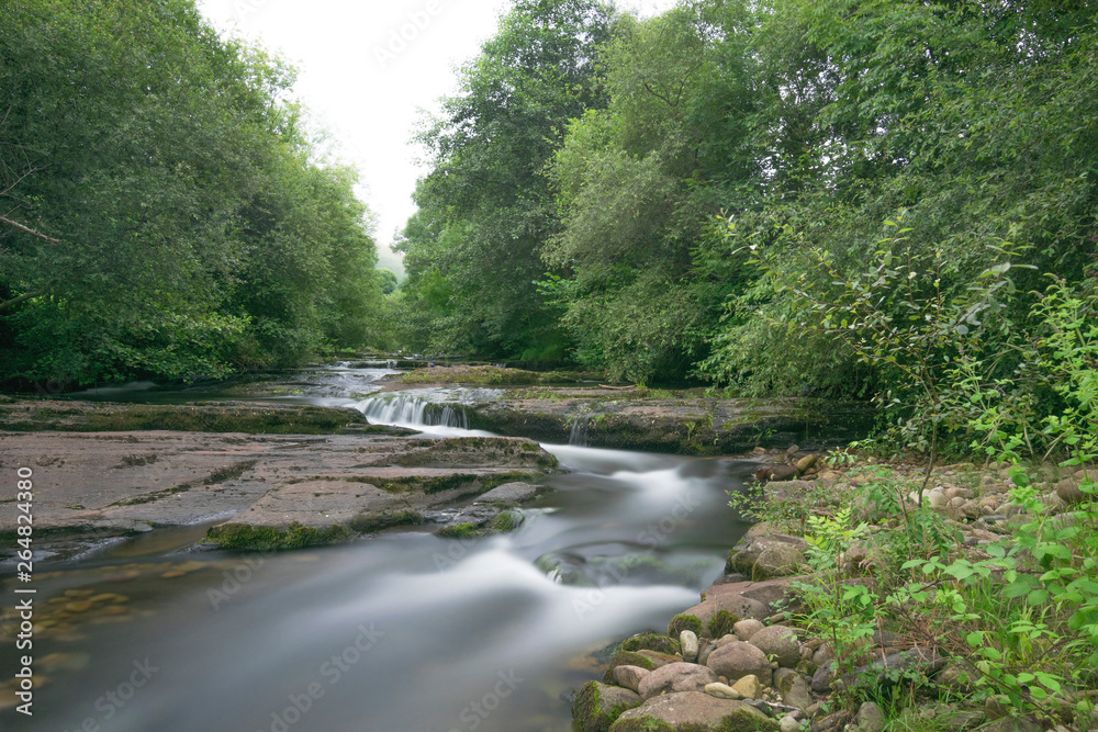 waterfall in the forest