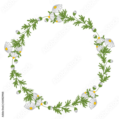Floral wreath with chamomile. Hand drawn border. Flat vector illustration.