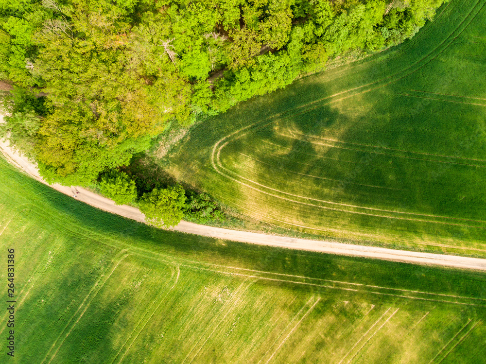 Aerial view of agriculture fields, meadow and road inside. Rural scene of countryside. Fresh green colors, look to above tree. Day on spring after rain