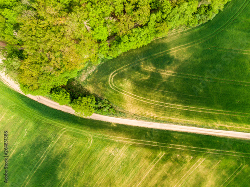 Obraz na płótnie Aerial view of agriculture fields, meadow and road inside. Rural scene of countryside. Fresh green colors, look to above tree. Day on spring after rain w salonie