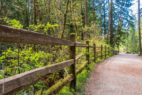 View at Trail in Park. Rice Lake. Vancouver. Canada.