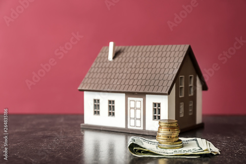 Figure of house and money o...