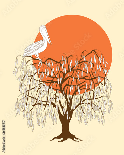 Dark brown silhouette tree with pelican at sunset