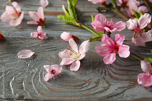 Beautiful flowers on wooden background