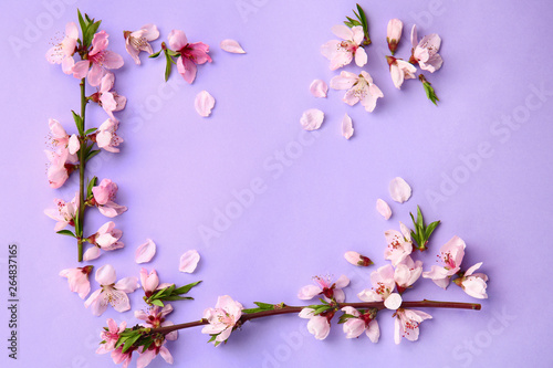Frame made of beautiful blooming branches on color background