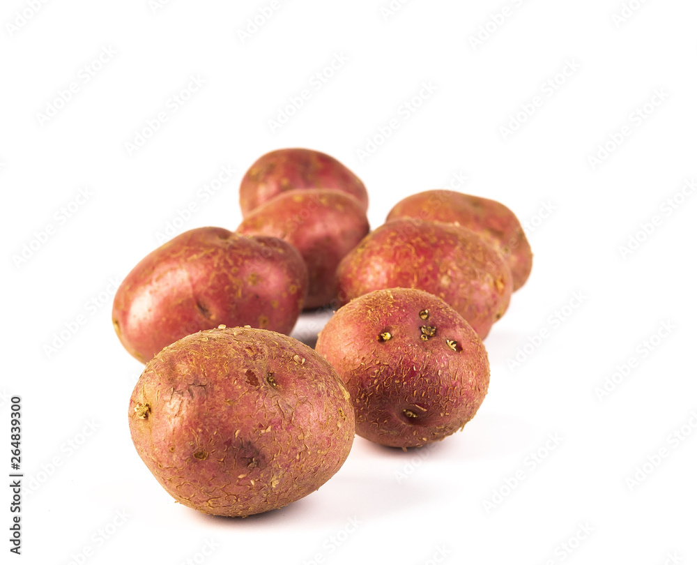 New red potato isolated on white background New red potato isolated on white background