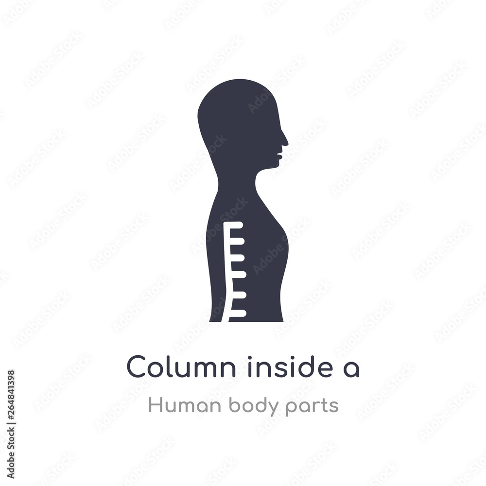 column inside a male human body in side view outline icon. isolated line  vector illustration from