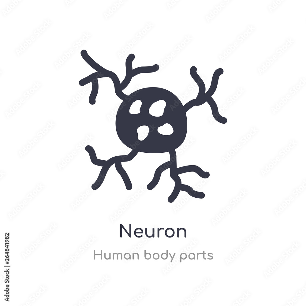 neuron outline icon. isolated line vector illustration from human body parts collection. editable thin stroke neuron icon on white background