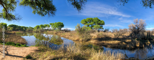 A panoramic view of a wet oasis in the desert seen on a sunny spring day