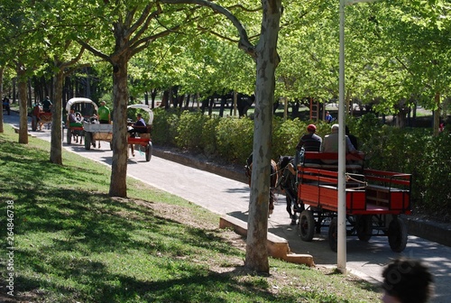 Horse Carriages in San Vicente Lliria Park, Spain