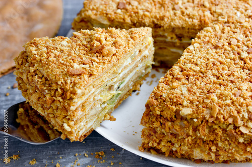 Homemade honey cake with custard and fruit