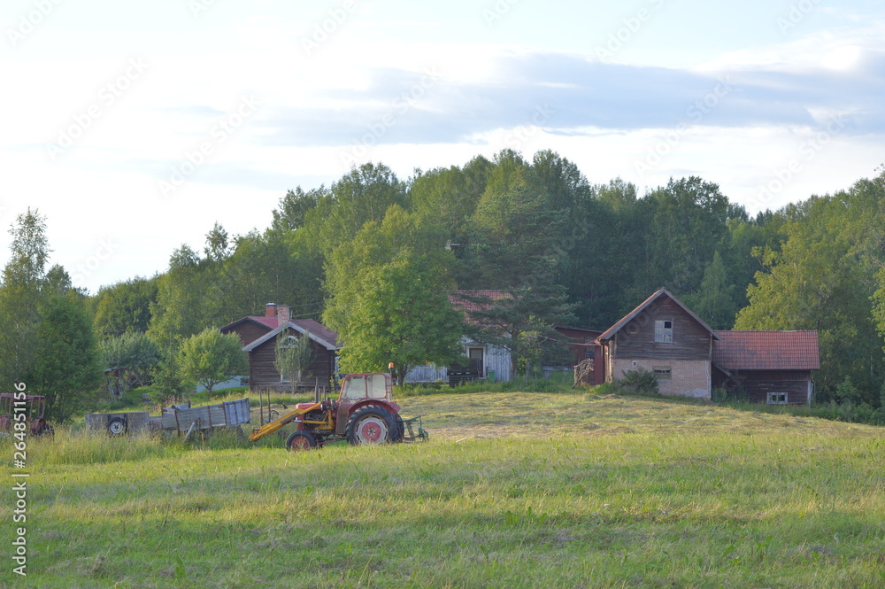 Fototapeta premium dalarna, gulleråsen, sweden