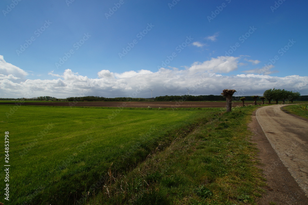 road in the field