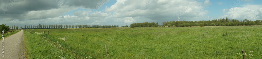 Obraz premium green field and blue sky