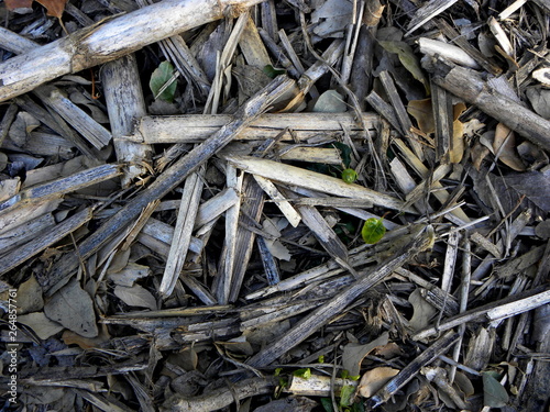 heap of wood chips