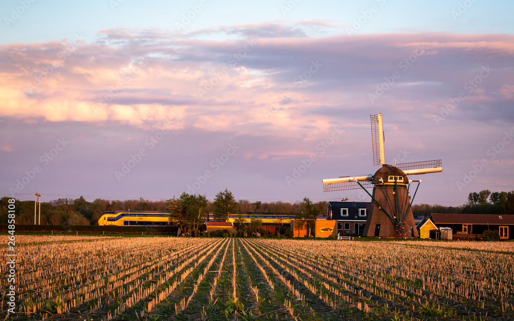 A sunset photo of Dutch agriculture field with windmill