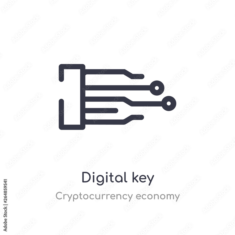 digital key outline icon. isolated line vector illustration from cryptocurrency economy collection. editable thin stroke digital key icon on white background digital key outline icon. isolated line vector illustration from cryptocurrency economy collection. editable thin stroke digital key icon on white background
