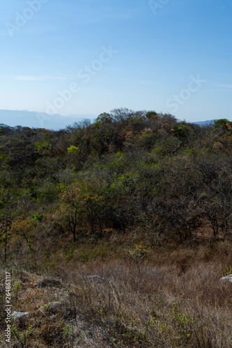 cerro de la vieja