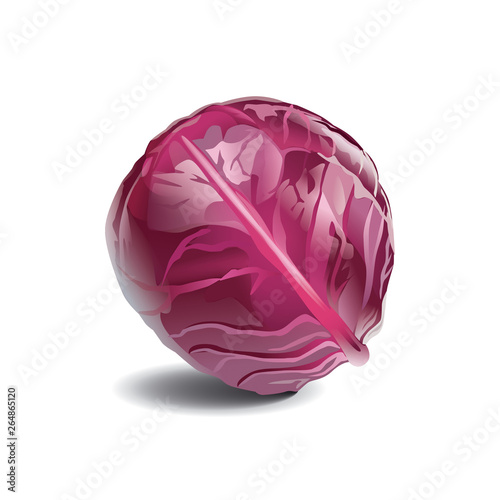 Red cabbage isolated on white background